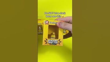 Do NOT let a duck lover see THIS!