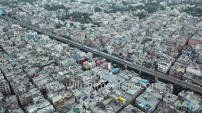Picture of Laxmi Nagar