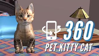 Cat 360 Animation