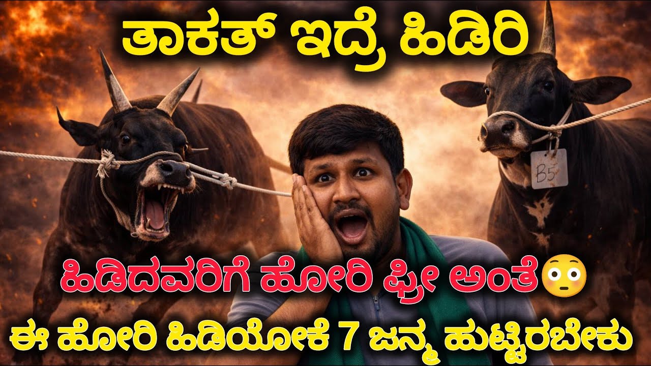🔥 ಭಯಾನಕ ಹೋರಿ ಶೋ – ನಿಜವಾದ ಹಳ್ಳಿ ಆರ್ಭಟ! 🐂