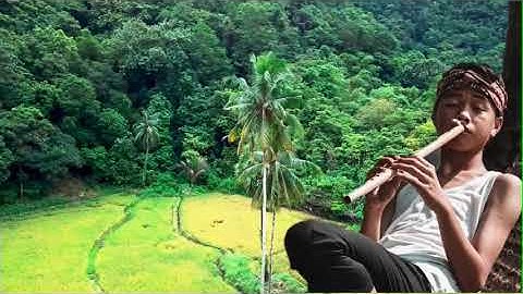 SABILULUNGAN - INDONESIAN TRADITIONAL INSTRUMENTAL MUSIC FROM SUNDANESE