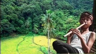 SABILULUNGAN - INDONESIAN TRADITIONAL INSTRUMENTAL MUSIC FROM SUNDANESE