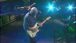 Download Lagu Coming Back To Life MP3 Coming Back To Life