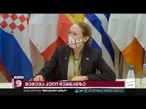 \"ოცნება\" კელი დეგნანის წინააღმდეგ | ხელისუფლების შეტევა აშშ-ის ელჩზე