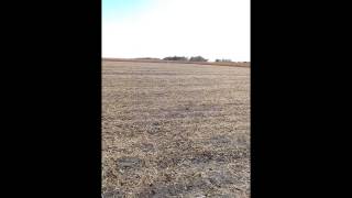 Dust devil chasin Net Worth