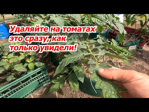 Канал сад огород своими руками