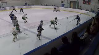 20230301 vs CNHA Gold - Period 3/OT/SO (Video 2 of 3)