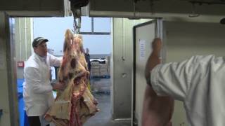 Butcher Careers