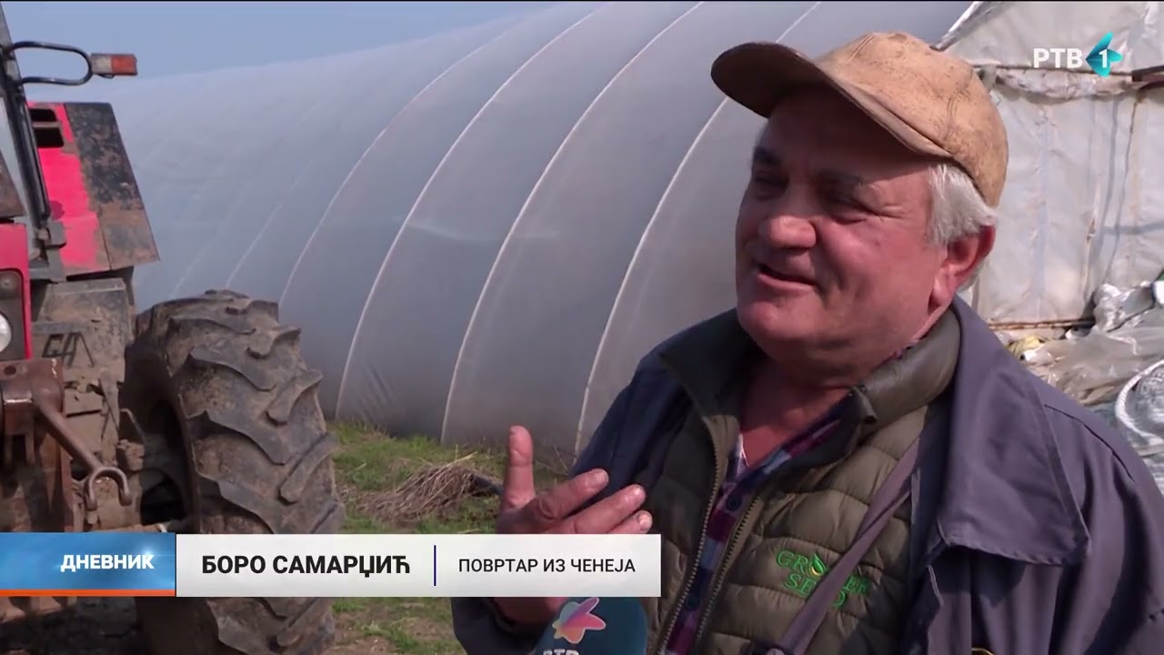 Iskustvo čenejskih povrtara: Uvek  bude dve loše pa tri dobre godine