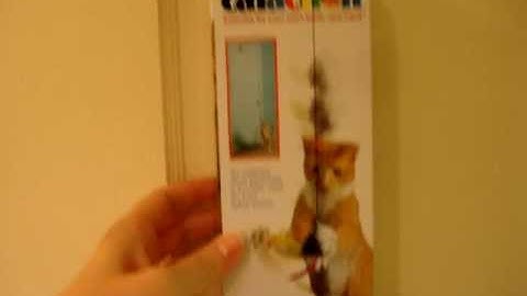 Ragdoll Cats Review The Cataction Bungaree - ねこ - ラグドール - Floppycats