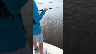 Big Snook Fishing In Shallow Water. #snookfishing #florida #fishing #fish #river #ocean #boating