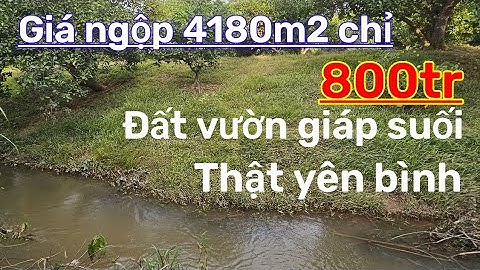 (Đã bán)Đất vườn nghỉ dưỡng giáp suối thật yên bình mà 4180m2 chỉ 800tr quá rẻ để làm nhà vườn.