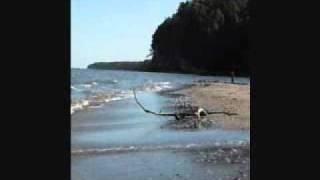 Brownie beach on the chesapeake bay