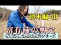 落葉果樹【富有柿】幼木編-Ⅲ 整枝･剪定(2021)