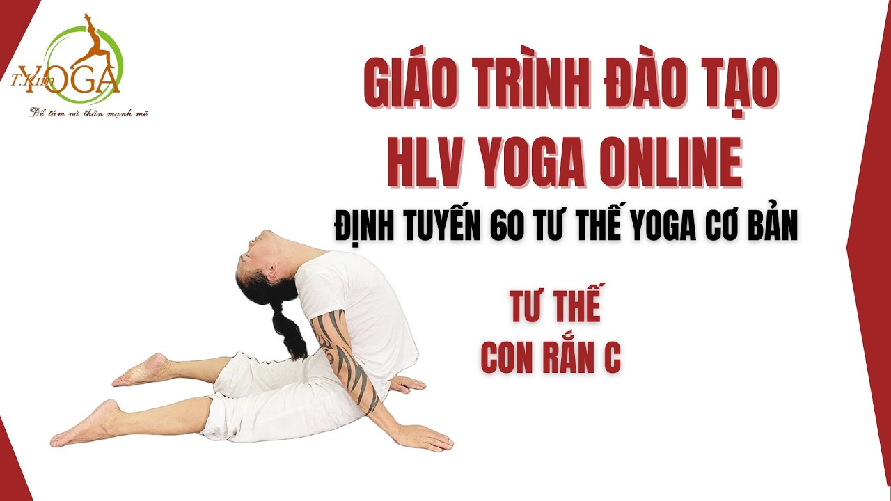 V. ĐỊNH TUYẾN 60 TƯ THẾ YOGA CƠ BẢN - 37. TƯ THẾ CON RẮN C - ĐẶNG KIM ...