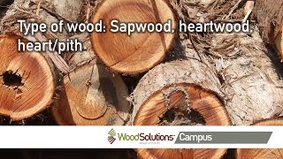 Type of wood: Sapwood, heartwood, heart/pith