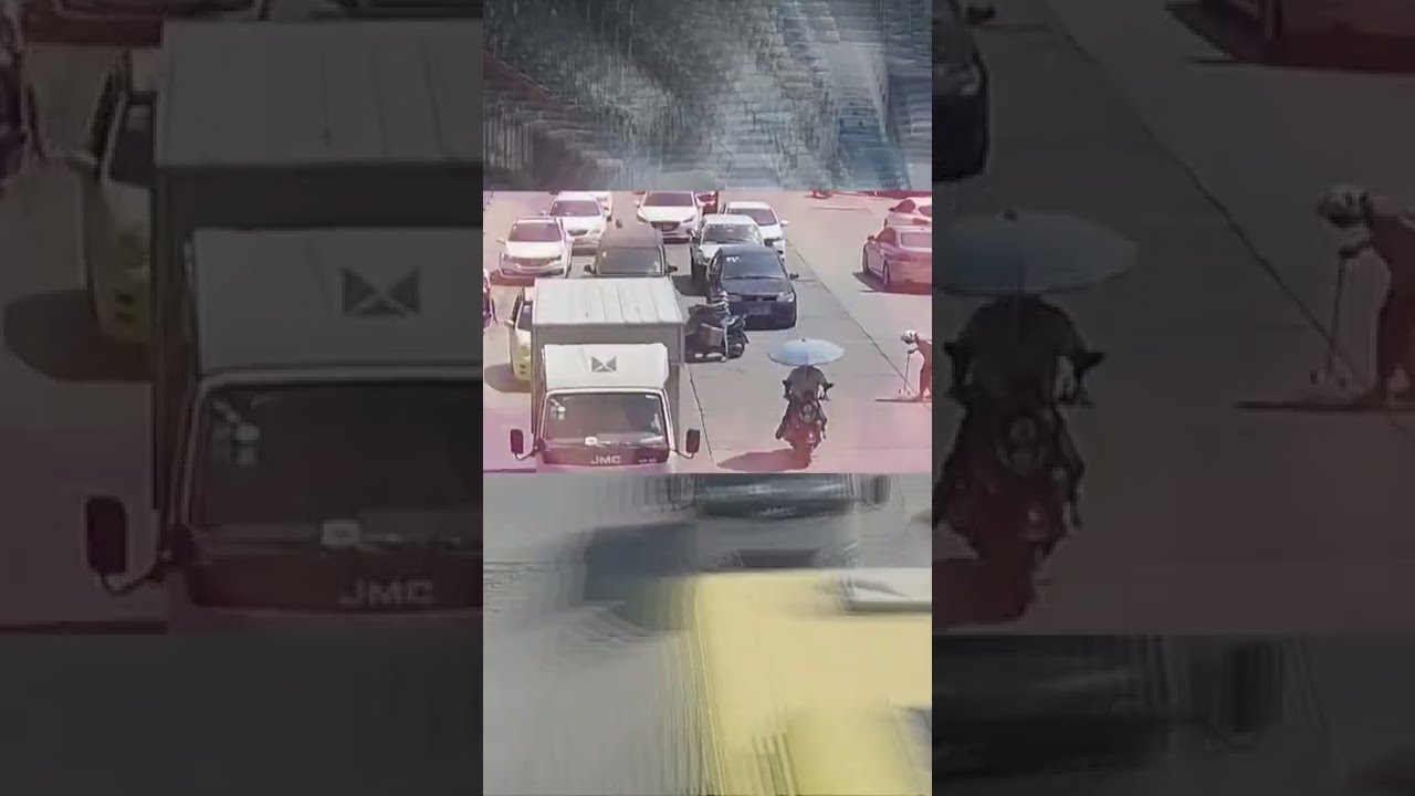 Proof Good Humans Still Exist 