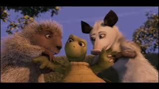 Over the Hedge - conflict