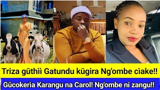 Breaking! Triza kūgira ng'ombe cìake Gatundu!! Gūcokerìa Carol Kim na Karangu 