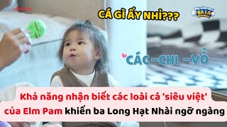 Khả năng nhận biết các loài cá 'siêu việt' của Elm Pam khiến ba Long Hạt Nhài ngỡ ngàng