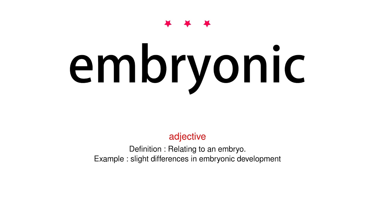 How to pronounce embryonic Vocab Today YouTube