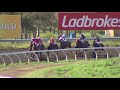 View race 3 video for 2021-03-27