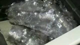 PET Thermoform Web
