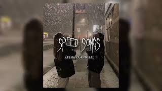 KESHA-CANBIBAL speed songs #tiktok #speed #song #music #