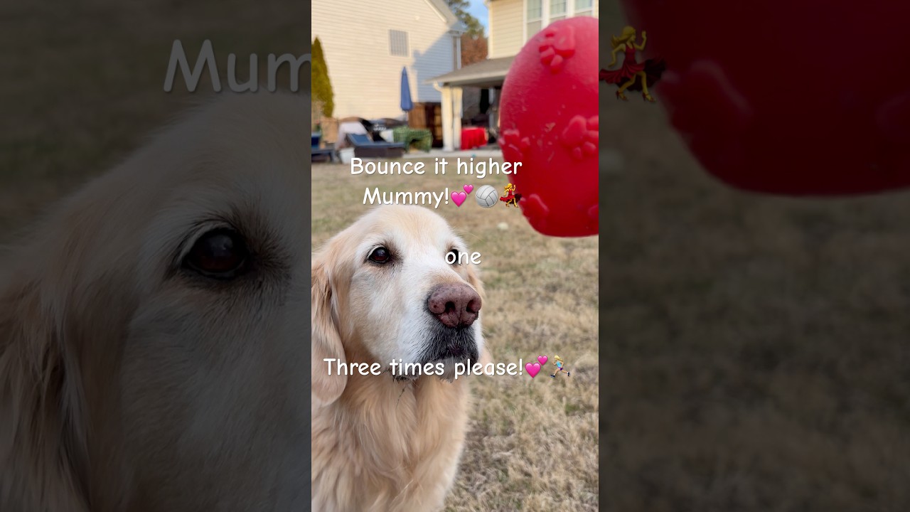 💕🛝🤾‍♀️Поиграйте со мной, как будто лето!☀️👒😎 Сегодня 72 градуса 