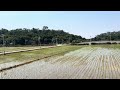 來南朗坐坐