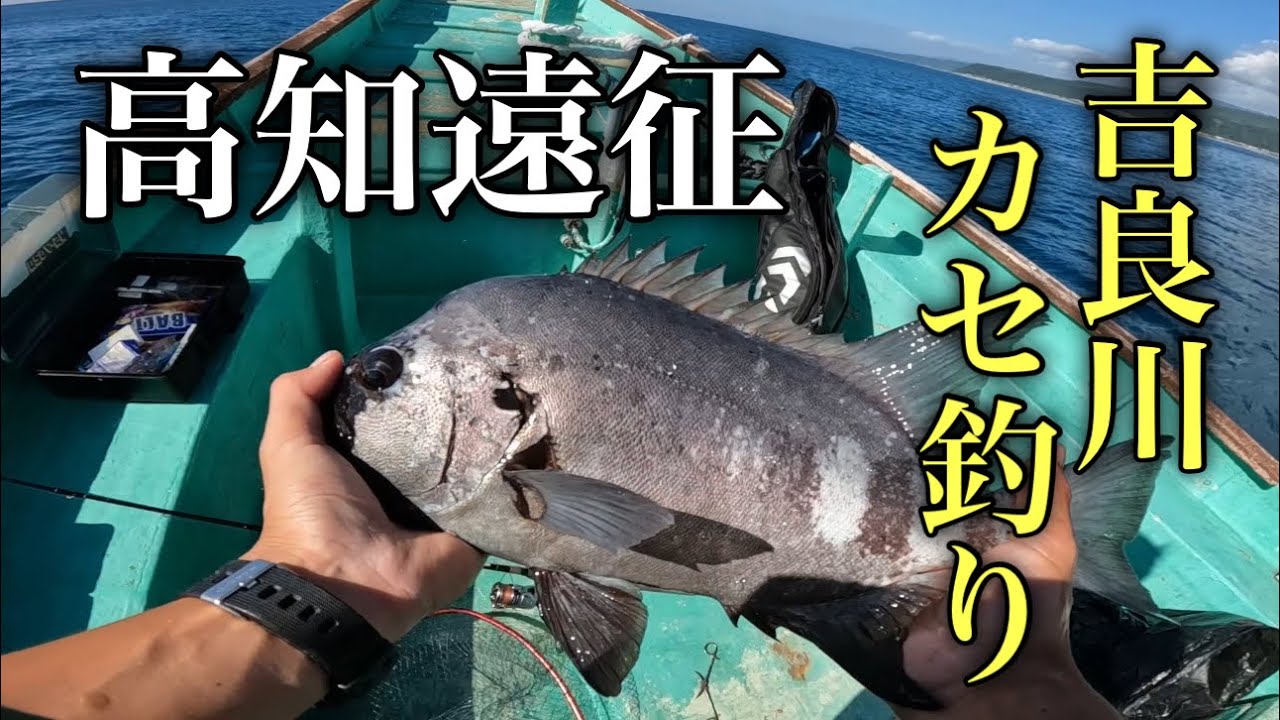 釣り人の夢、ここにあり！高知遠征で石鯛連発！？吉良川のカセ釣りがヤバすぎた…！