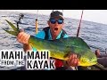 Kayak Fishing: MAHI MAHI & SAILFISH Action in Florida | Field Trips with Robert Field