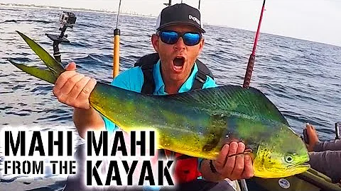 Kayak Fishing: MAHI MAHI & SAILFISH Action in Flor...