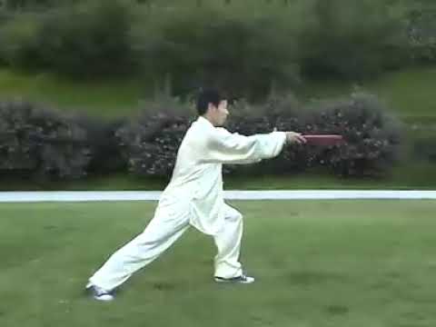 Tai Chi Kung Fu Fan