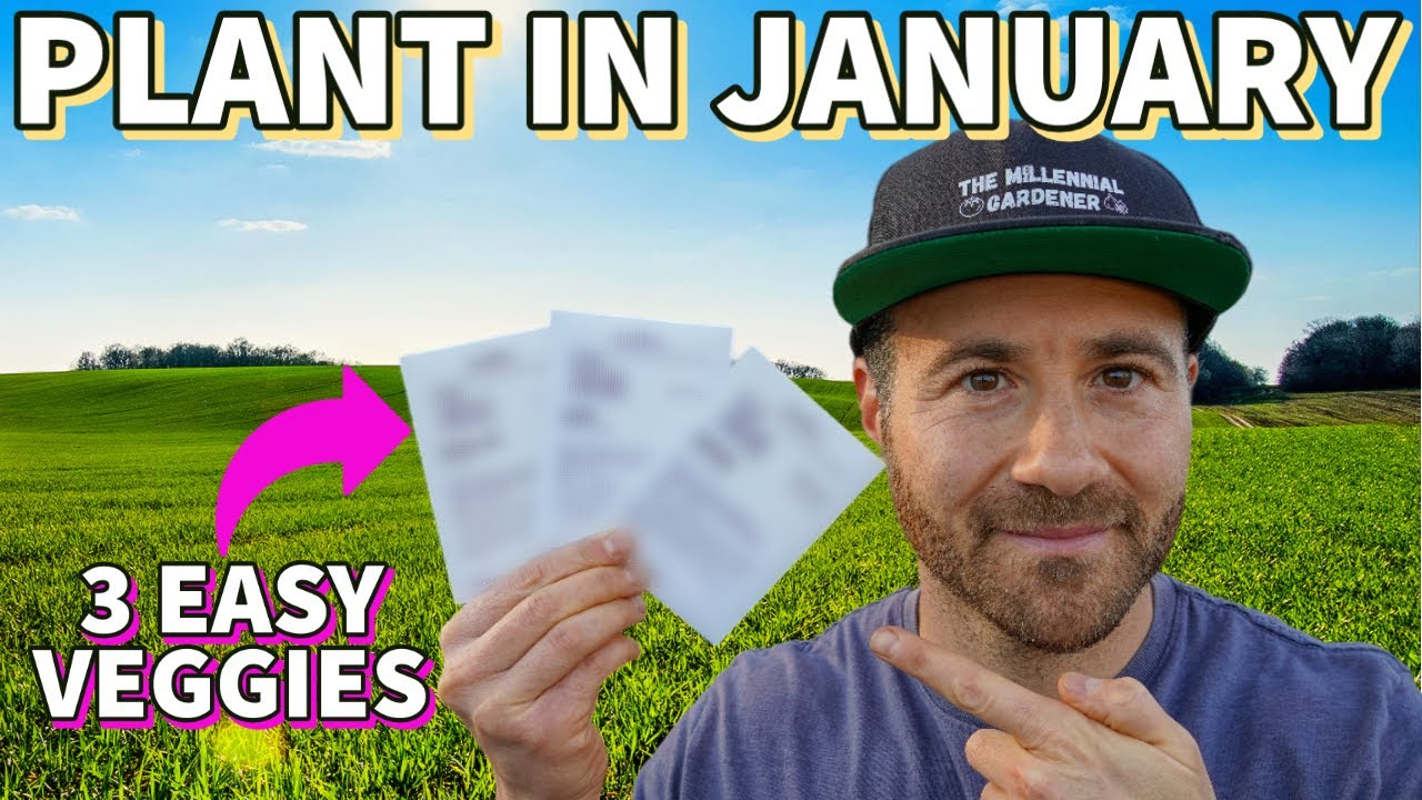 Start These 3 Plants From Seed NOW Every January!