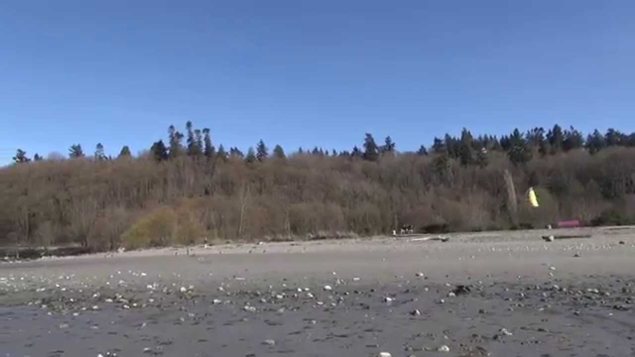 Dual Line Foil - Tantrum Series