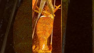 ? Satisfying Squid Grilling with Spicy Sauce ? ASMR #usa #foryou #shorts
