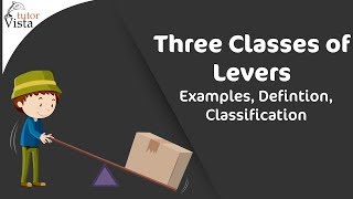 Three Classes of Levers - Examples, Defintion, Classification