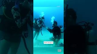 Scuba Diver Pops The Question Underwater #Shorts