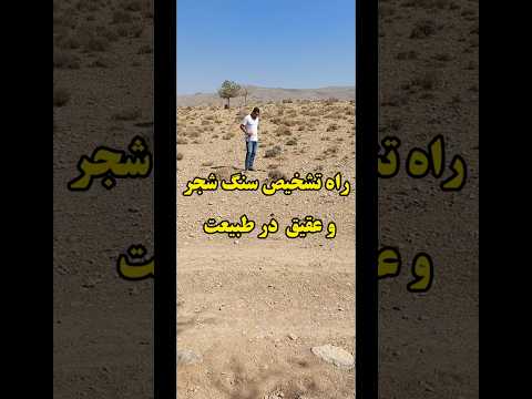 فرق بین پوسته ی شجر و عقیق شجر شیراز شجر فارس عقیق شیراز عقیق محسن عباسی 