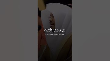 فَمَن يُرِدِ اللَّهُ أَن يَهْدِيَهُ يَشْرَحْ صَدْرَهُ لِلْإِسْلَامِ ۖ _حالات واتس(القرآن الكريم)✨