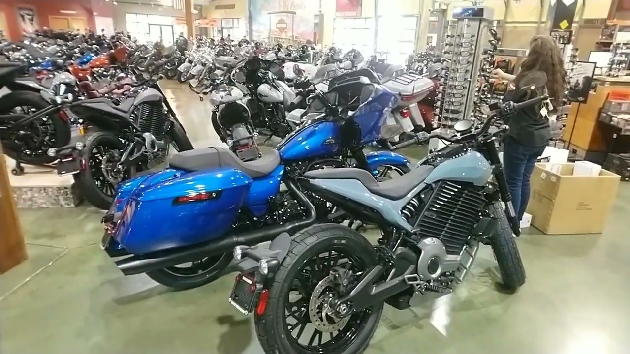 Tampa Bay (Brandon) Harley-Davidson Showroom Walk around August 2024