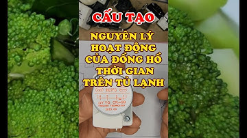 Cấu tạo, nguyên lý hoạt động của đồng hồ thời gian trên tủ lạnh #shorts