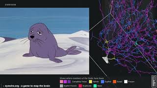 Pink Panther - Pink Pranks Episode 66 Aug 28, 1971