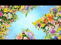 『空いっぱいに奏でる祈り/Aqua Timez』歌ってみた