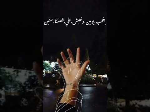 حالات واتس حماقي وادينا عايشين