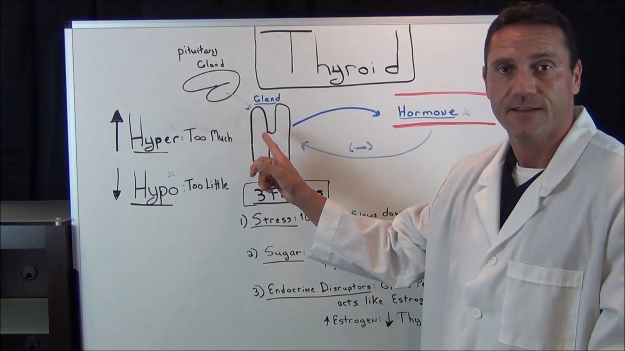 Hyper and Hypothyroidism Explained