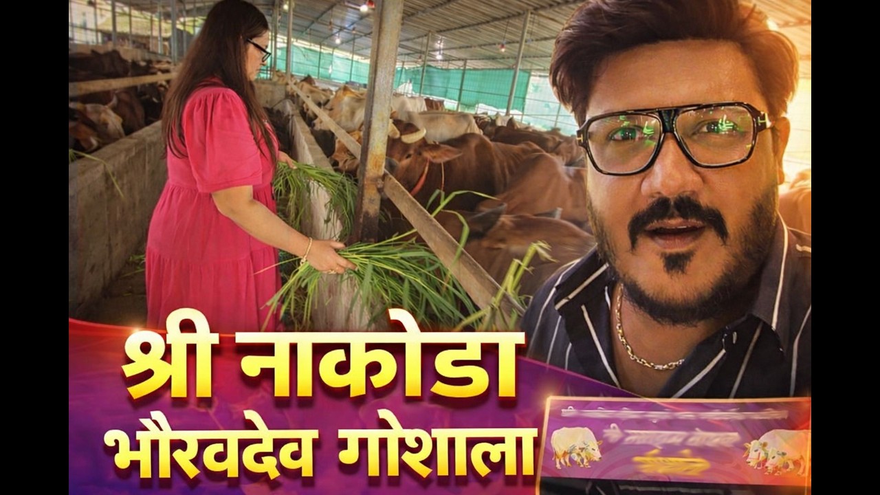 Peaceful Visit to🚩Shri Nakoda Bhairavdev Gaushala🕉️| Family Mini Vlog | Cow Feeding Experience