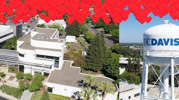 Greater Because of You | UC Davis