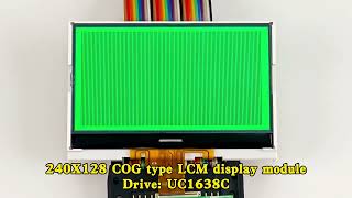 COG Instrument Display - SJXD240128 - Customized Display Solutions